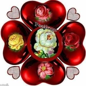 Meet your Posher, Celia